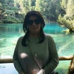 fatima_jaffar717 profile picture
