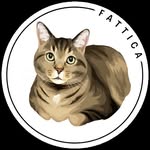 fattica19 profile picture