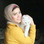 fayed.amira profile picture