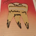 fayeweiwei profile picture
