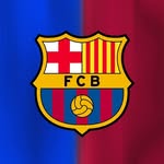 fcbfemeni