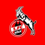 fckoeln_frauen profile picture