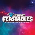 feastables profile picture