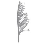 feathercreative profile picture