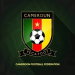 fecafootofficiel profile picture