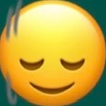 fedebelligram profile picture
