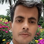 feel_jaane_anjane profile picture