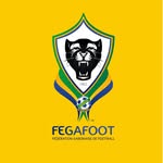 fegafoot profile picture