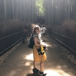 felicitousphotography profile picture
