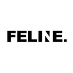 felineagency profile picture