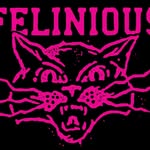 felinious_ profile picture