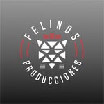 felinosproducciones profile picture