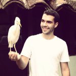 felipealvarez9 profile picture