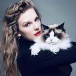 feministhood profile picture