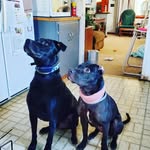 fendersfoundation profile picture