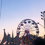 feralfraternalwooks profile picture