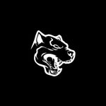 feralsupplementss profile picture