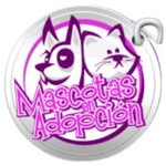 feriamascotasenadopcion profile picture
