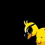 ferierif3 profile picture