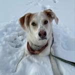 ferniegirlie profile picture