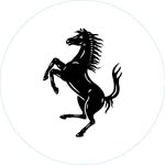 ferrariusa
