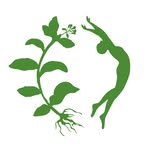 festevia_teas profile picture