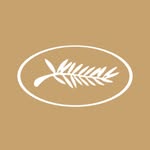 festivaldecannes profile picture