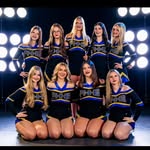 fhjvgoldengirls profile picture