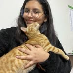 fiel_companero_of profile picture