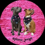 fierce_freya profile picture