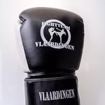 fightteamvlaardingen profile picture