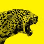 filmfestlocarno profile picture