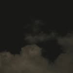 filmpoetrylife.backup profile picture