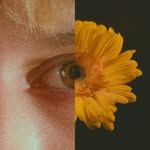 filmwavecherry profile picture