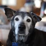 finallyhomemaine profile picture