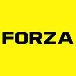 findyourforza profile picture