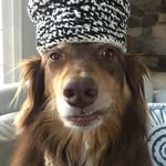 finnsite profile picture