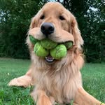 finnyboymolloy profile picture