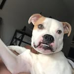 finnyfinnfinnerson profile picture