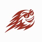 fireballsgc_ profile picture