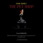 fishbowl.barkur profile picture