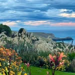 fishermansbay_garden profile picture