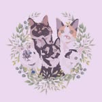 fivepeasinapodsa profile picture