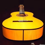 flamenco.maestros profile picture