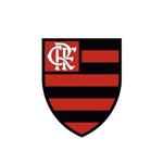 flamengofutebolfeminino profile picture