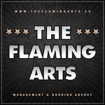 flamingartsagency profile picture