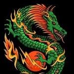 flamingbeast4ever profile picture
