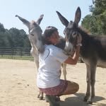 flareoaksrescue profile picture