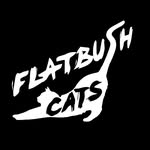 flatbushcats profile picture