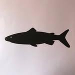 fleetlondoncoltd profile picture